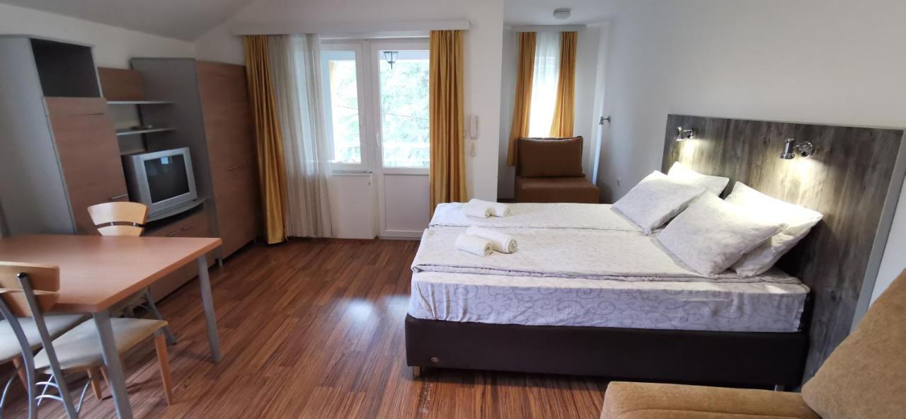 Apartments Banjica 索科矿泉村 外观 照片