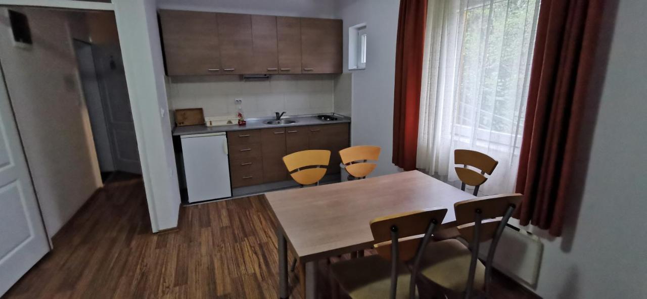 Apartments Banjica 索科矿泉村 外观 照片