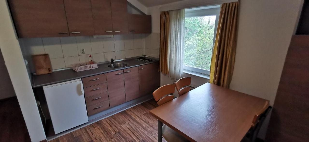 Apartments Banjica 索科矿泉村 外观 照片